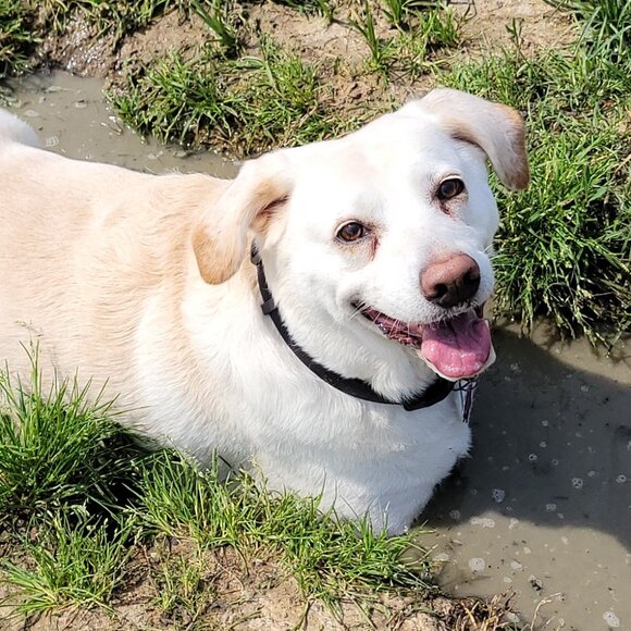 UNLISTED ITEM - Picture 1 of 1